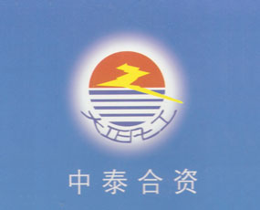 中泰合資邢臺大正化工有限公司