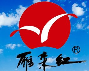 ɽ�|ʡ�I�����(l��i)�t���﹤�����޹�˾