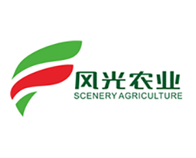 �S���L���r�I(y��)�Ƽ����޹�˾