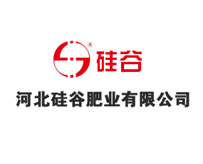 �ӱ���ȷʘI(y��)���޹�˾