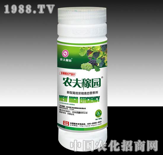 �r��ڈ@_�����ѣ�