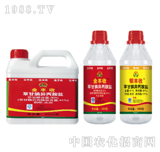 41%�ݸ�좮������}-���{(l��n)