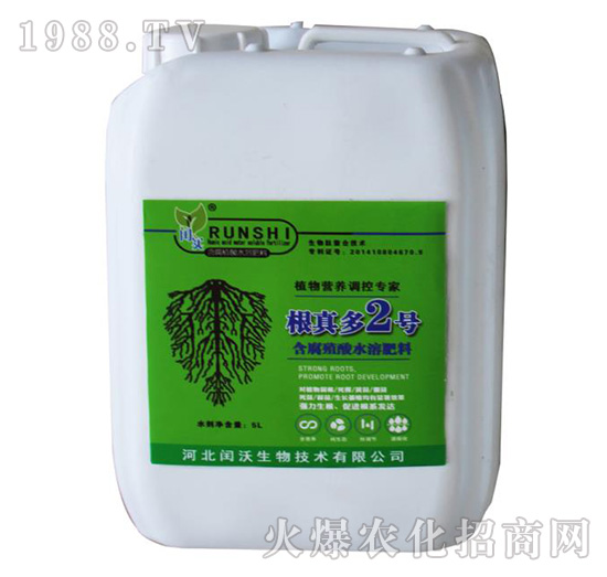 �����2̖-�c��