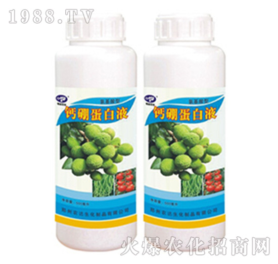 �}�𵰰�Һ-�r�_����