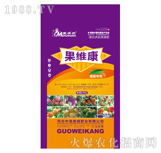 ���S�����ߌ���