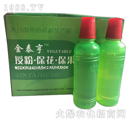 ��̩��-�ڷ۱���������