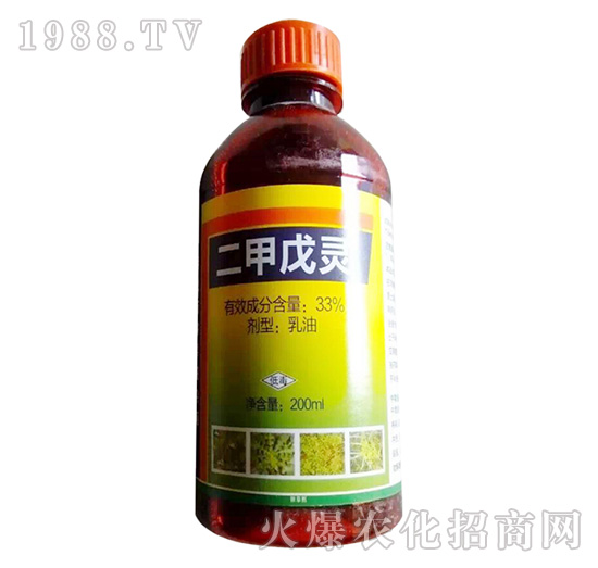 33%�������`-�Z������