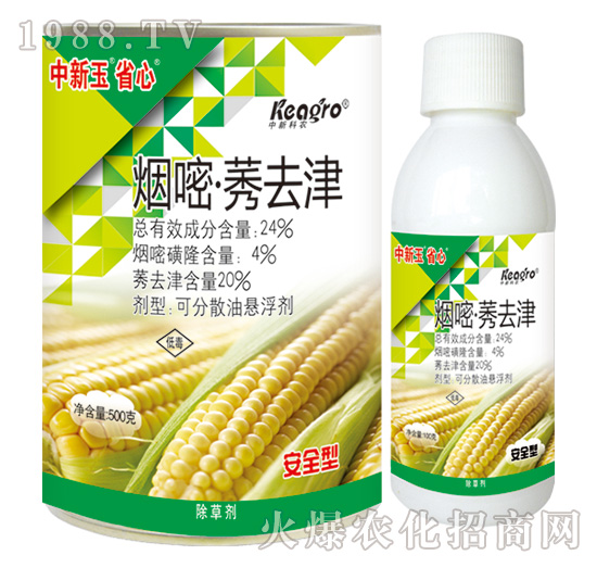 24%���ס�ݬȥ��-������ʡ��-���¿��r