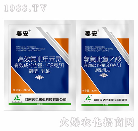 姜安-遠(yuǎn)見(jiàn)農(nóng)業(yè)