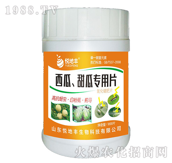 ��������ό���Ƭ��һ��һƬ��-�����S