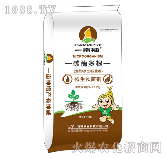 ΢�������-̼ø���-һ����