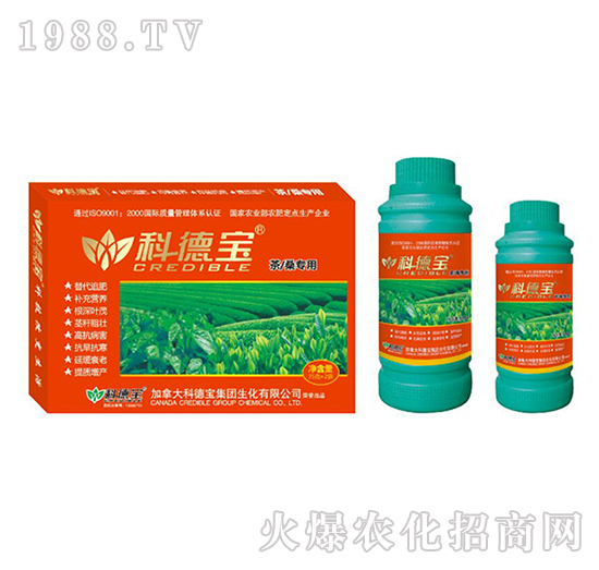 ����ɣ���àI(y��ng)�B(y��ng)���a(ch��n)�{(di��o)�턩-�Ƶ�