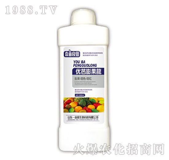 優(yōu)芭膨果龍-壹畝良田