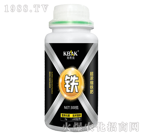 ����s�F��-�˰ſ�