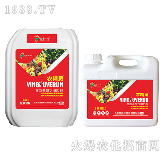 靚果型含腐植酸水溶肥料-農精靈-英普葉潤