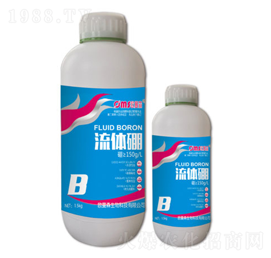 ���w��-�W��ɭ