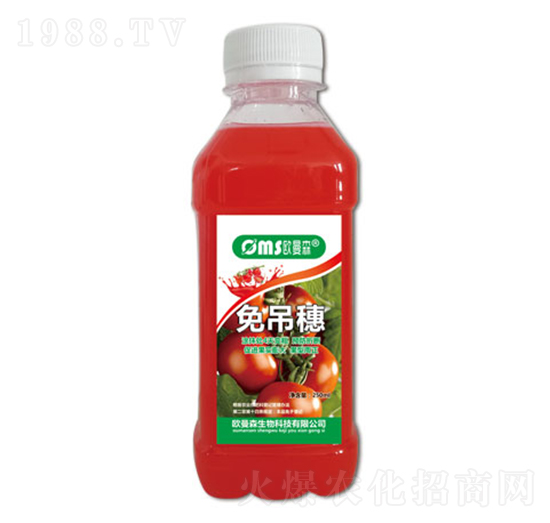 �����-�W��ɭ