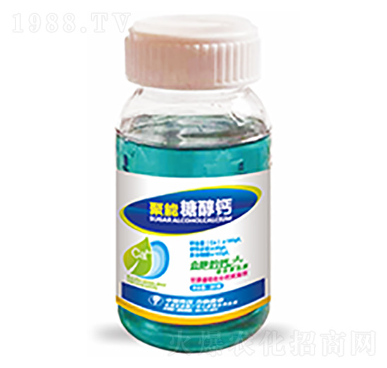 �����Ǵ��}-�����Ƽ�