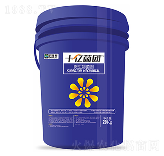 ΢�������-ʮ�|���F-�����Ƽ�