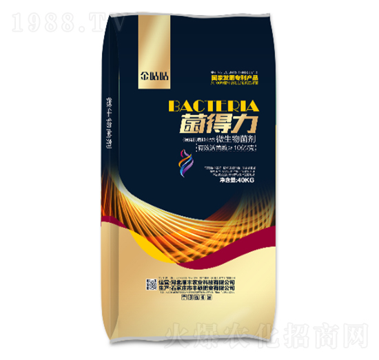 ΢���������10�|��-������-��S�r�I(y��)