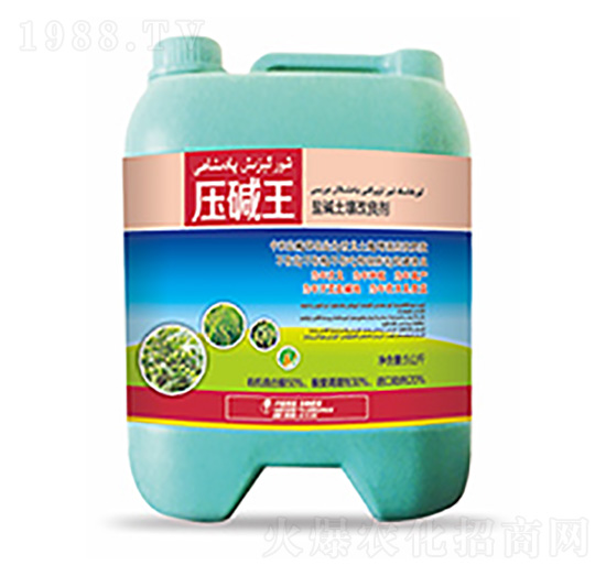 �}�A����������-���A��-�����Ƽ�