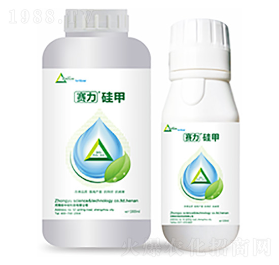 ِ�����-�����Ƽ�