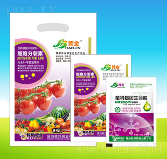 ����ֲ�����������-�n��ʘI(y��)