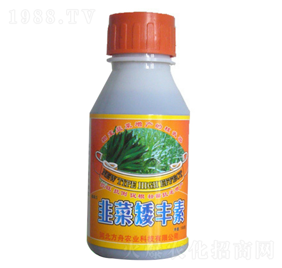 �²˰��S��-�����r�I(y��)