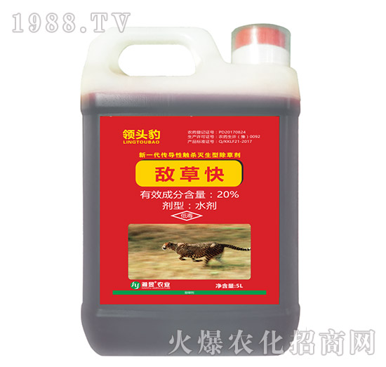 20%���ݿ�-�I�^��-���