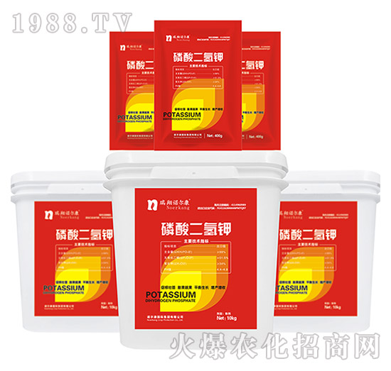 ��������-�����Z����