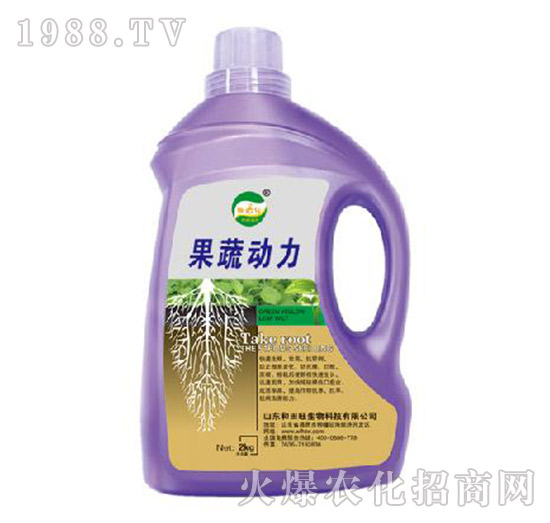 ���߄���-����������