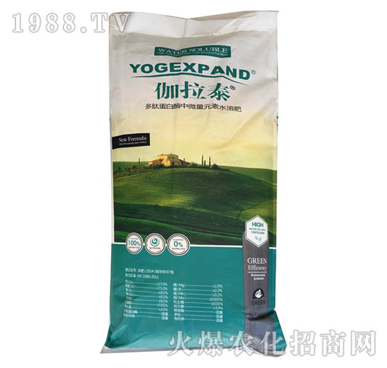 ���ĵ���ø��΢��Ԫ��ˮ�ܷ�-٤��̩-� �����