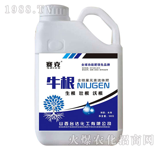 ţ��-ِ��-�_(t��i)�_(d��)