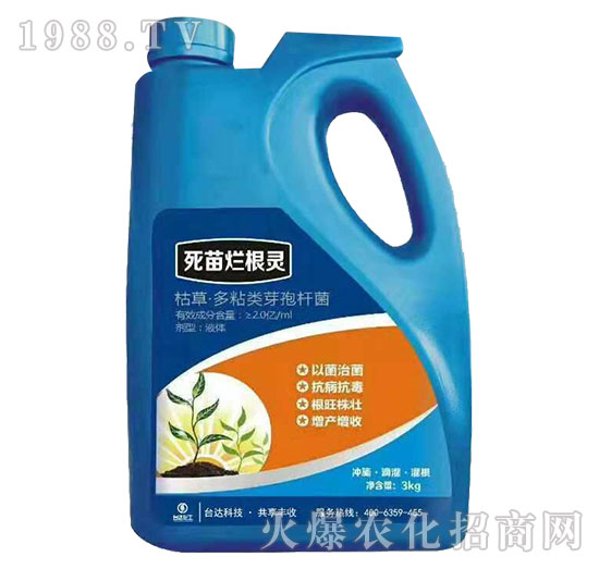 ���砀���`-�_�_