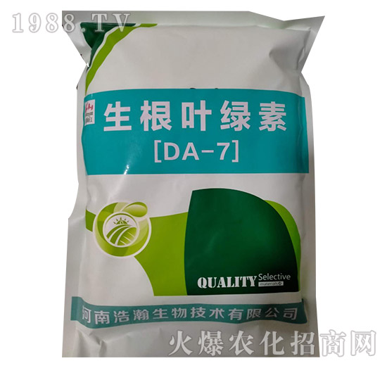 �����~�G�أ�DA-7��-�����