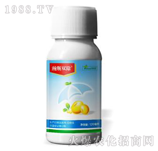 15%��ୡ����ǰ�-�˹�p��-�˹����