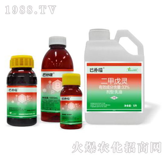 33%�������`-�͘���ѿǰ���]��-�˹����