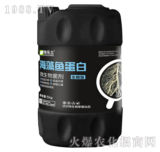 �����ͺ����~����-�ژ�(l��)ʿ