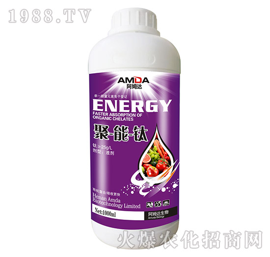 �����-��ķ�_