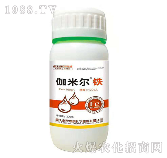 ٤�נ��F-�_˼ķ-ľ�̼ь�