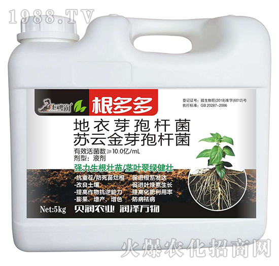 根多多-七彩貝潤-阿姆達(dá)