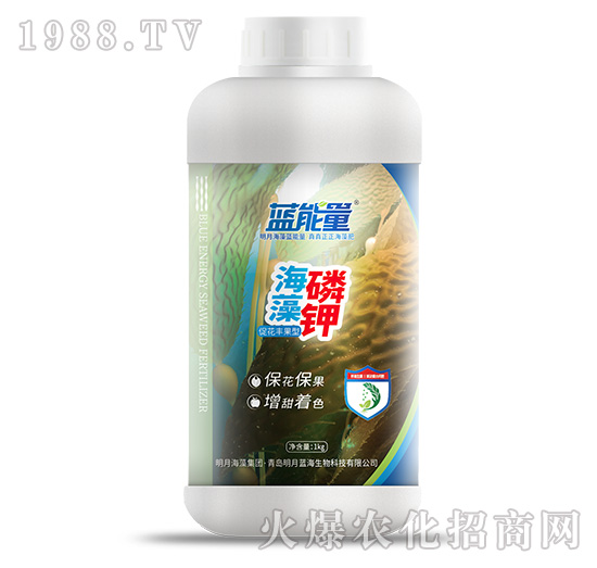 海藻磷鉀（1kg）-藍能量