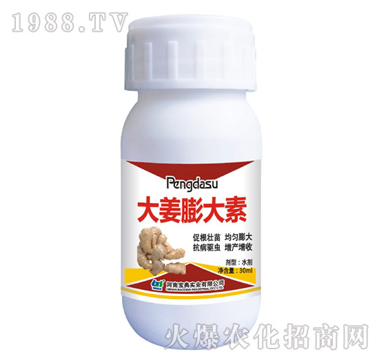 大姜膨大素-寶典實(shí)業(yè)