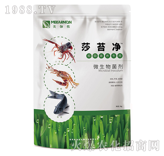 ����I(y��ng)�B(y��ng)����΢�������-ɯ̦��-��٤�z