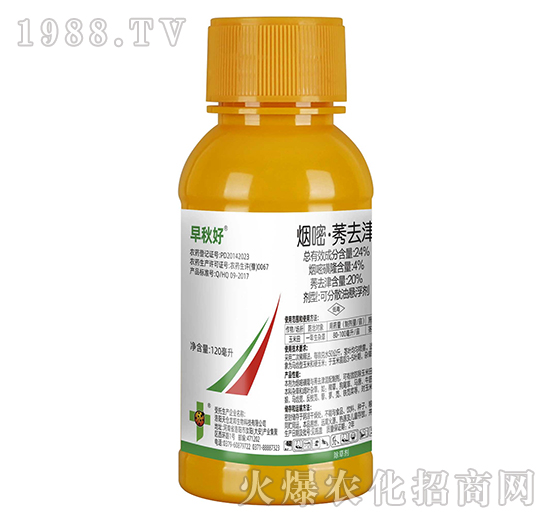 24%���ס�ݬȥ��-�����׌��ó��݄��������-�����_