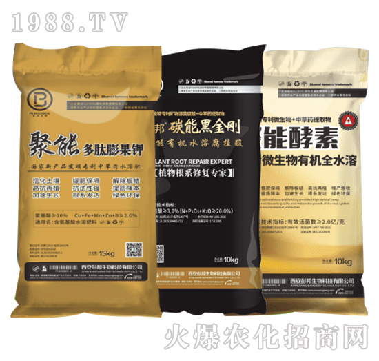 �����{�����b-��������