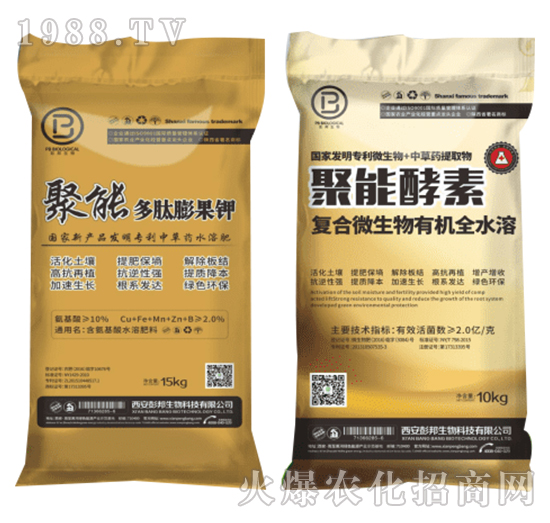 ��������b-��������