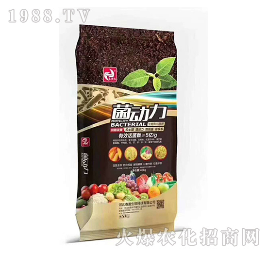 ���Z�l(f��)�������ЙC(j��)����-����(d��ng)��-�����t