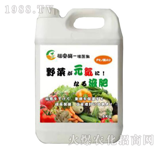 �r�ý���-����ø-����