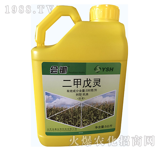 �������`-���z��5���-�\(y��n)ʢ����